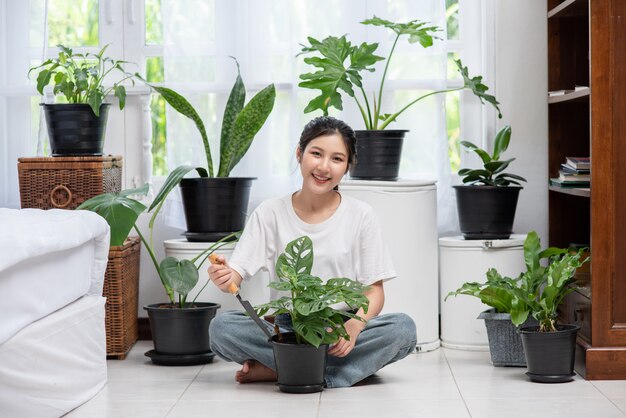 home decoration with plants